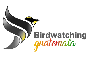 Guatemala Birding Tour Company