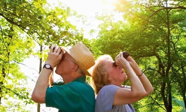 Exploring the Best Binocular Brands for Birdwatching