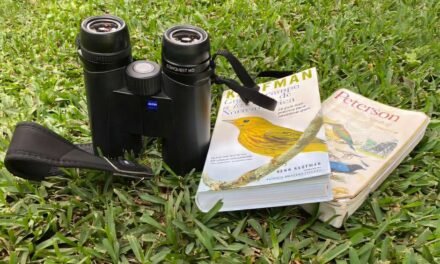 Guatemala’s Top Birding: Essential Field Guides Reviewed